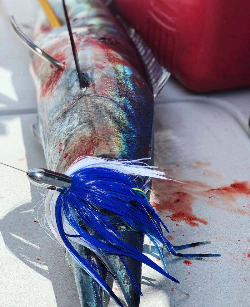 Load image into Gallery viewer, Caribbean Bullet Head
